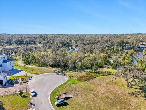 8339 Alafia Pointe Drive, RIVERVIEW, FL 33578