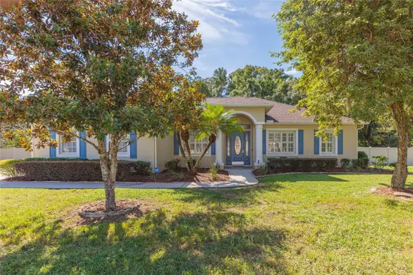 11730 Lakeview Drive, NEW PORT RICHEY, FL 34654