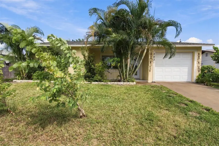 3031 Muir Street, Holiday, FL 34691 - #2