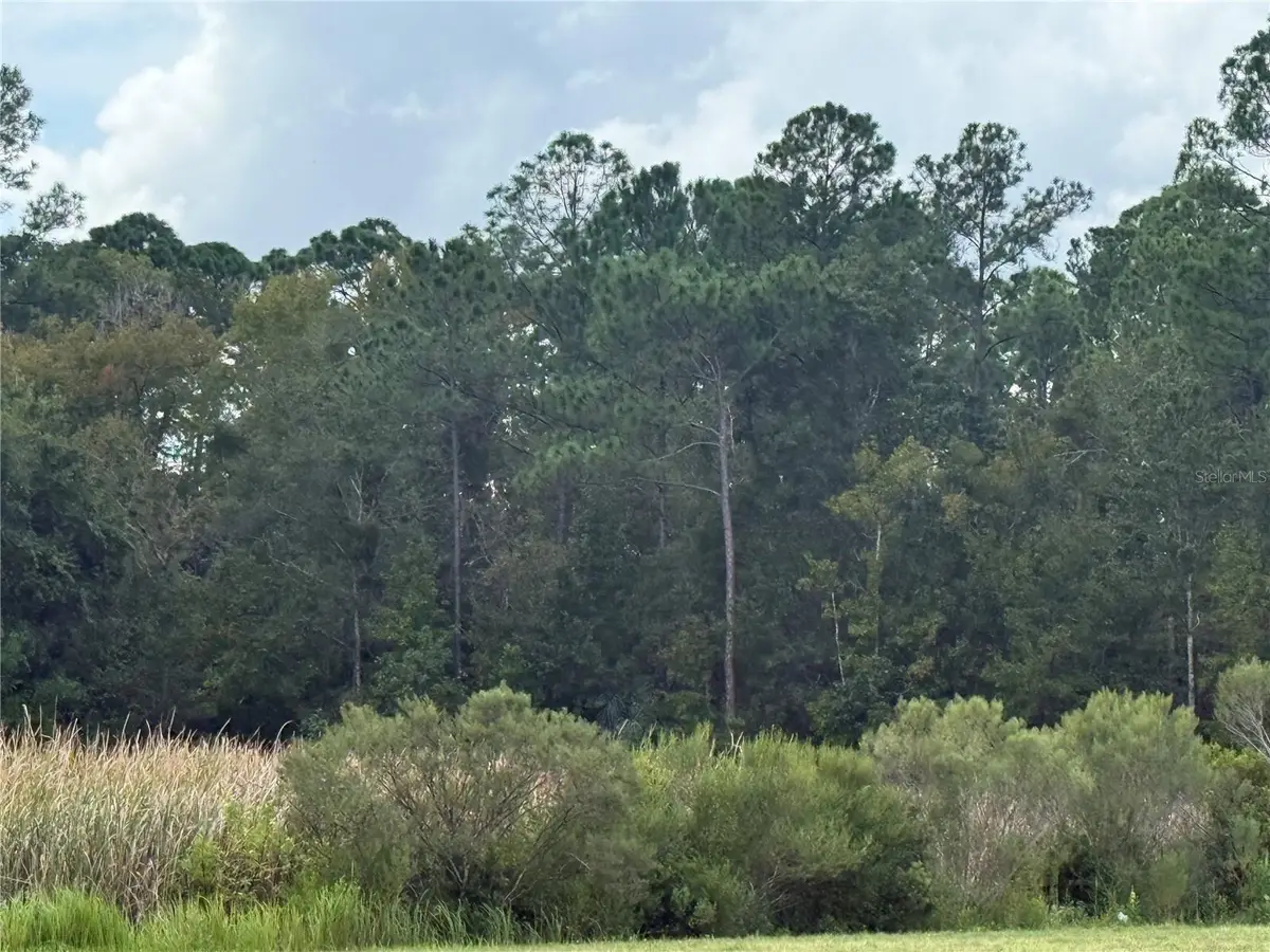 10855 W Homosassa Trail, Homosassa, FL 34448 - #1