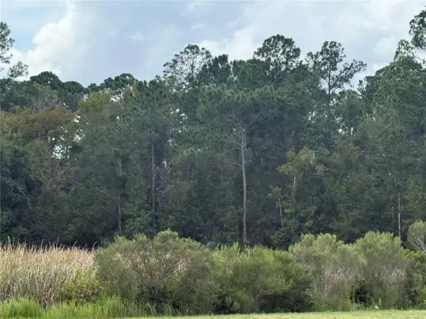 10855 W Homosassa Trail, HOMOSASSA, FL 34448
