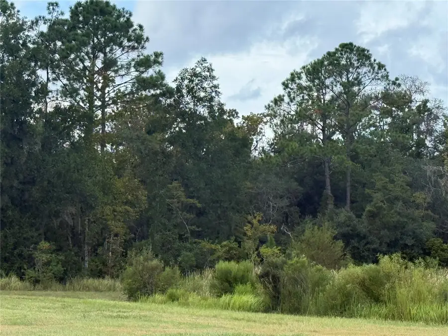 10855 W Homosassa Trail, Homosassa, FL 34448 - #2