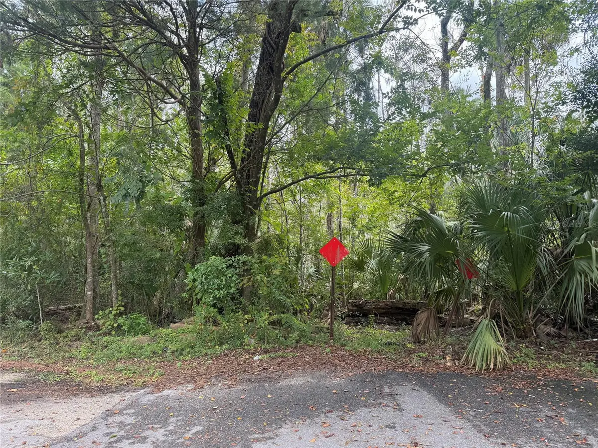 10103 W Main Street, Homosassa, FL 34448 - #1