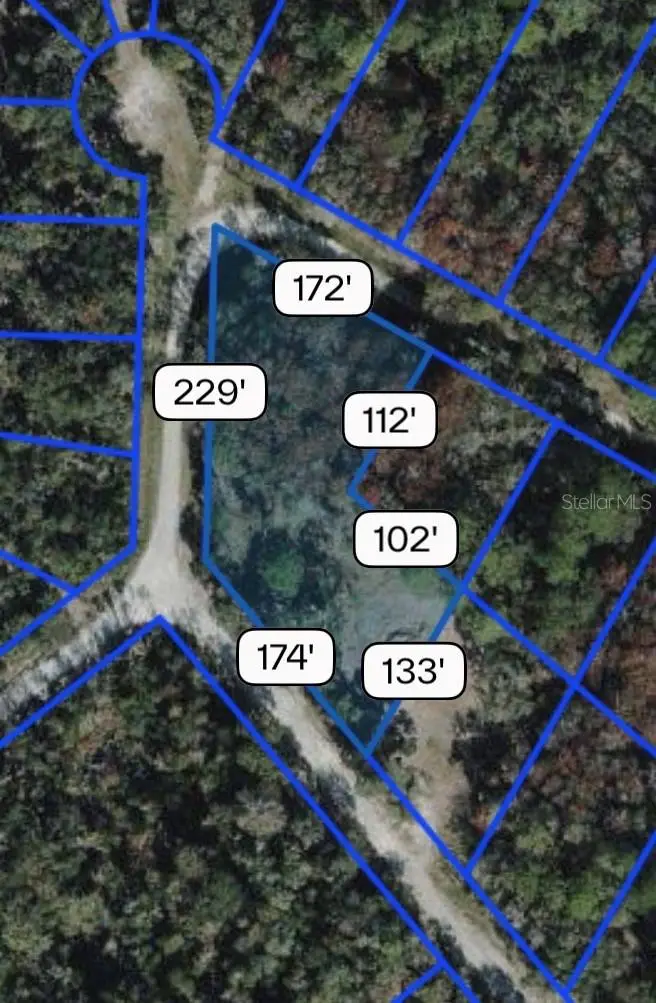 Northwest Avenue, Webster, FL 33597 - #1