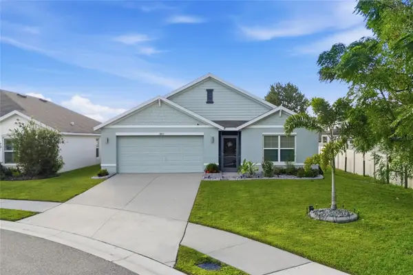 11805 Downy Birch Drive, RIVERVIEW, FL 33569