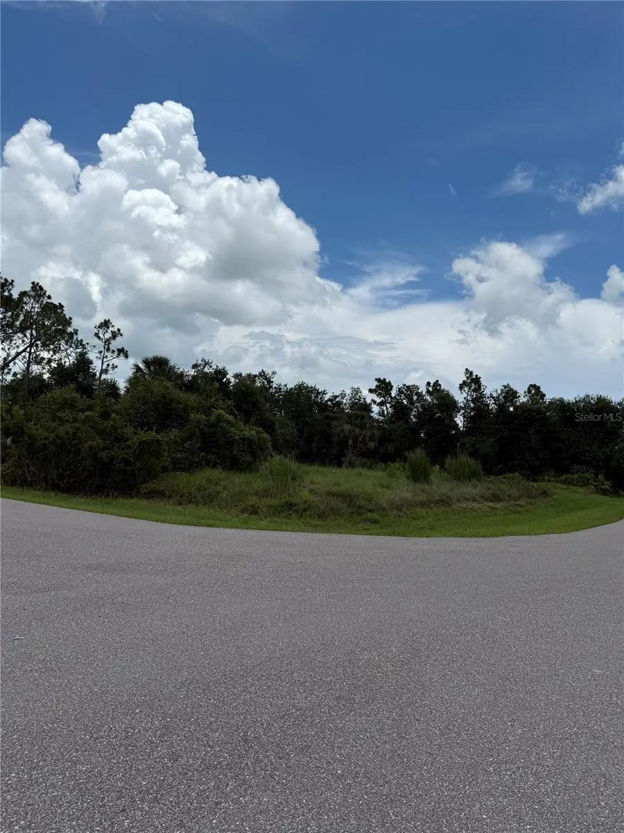 29500 Lillis Street, Punta Gorda, FL 33982 - #2