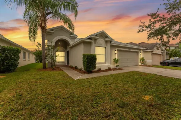 19009 Fishermans Bend Drive, LUTZ, FL 33558