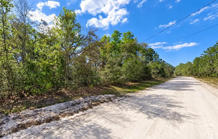 NE 770th Streets, Old Town, FL 32680 - #2
