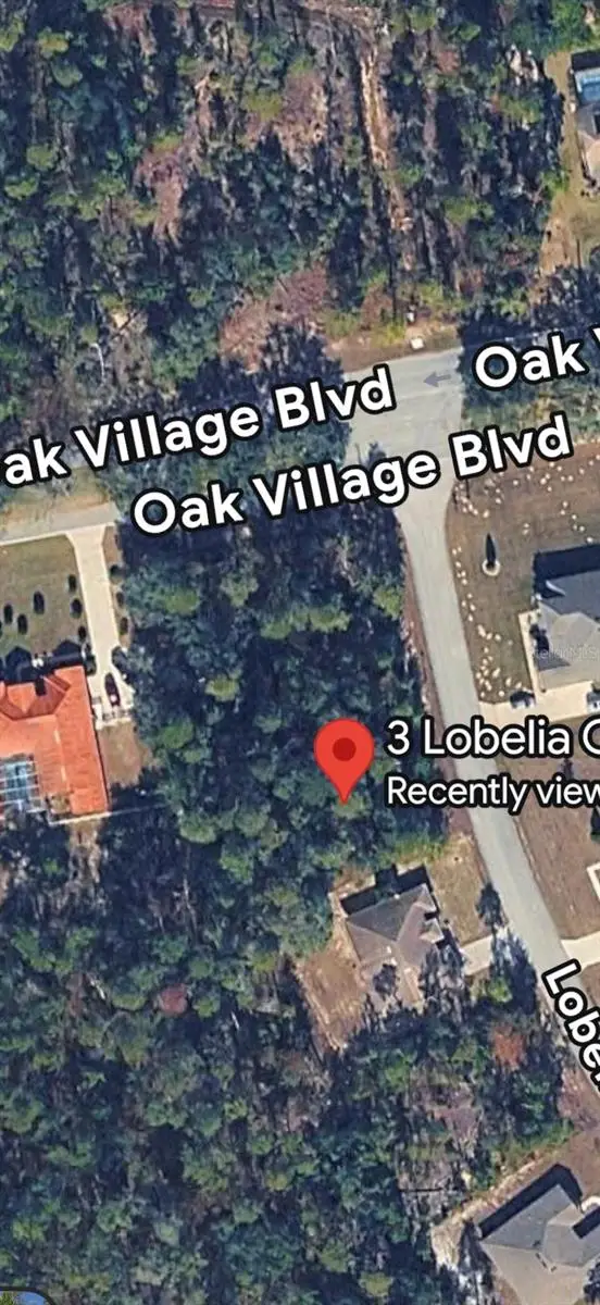 3 Lobelia Court, Homosassa, FL 34446 - #3
