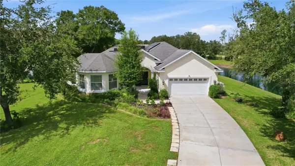 19930 Dolores Ann Court, LUTZ, FL 33549