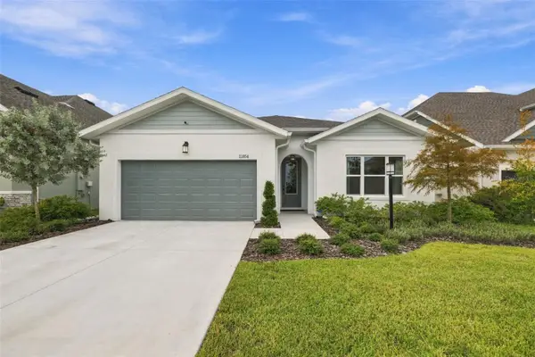 11854 Mile Marsh Drive, RIVERVIEW, FL 33569