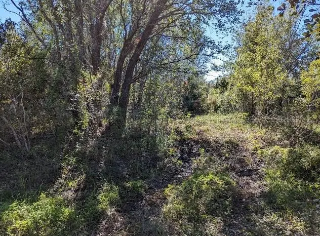 5570 Juel Gill Road, Myakka City, FL 34251 - #3