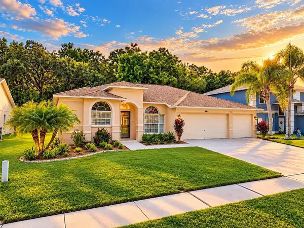 4798 Augusta Avenue, OLDSMAR, FL 34677