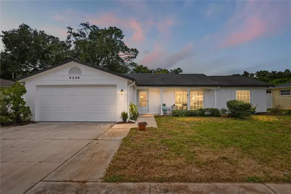 6236 Hopewell Drive, HOLIDAY, FL 34690