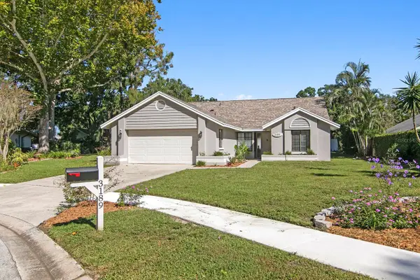 3189 Pine Forest Court, PALM HARBOR, FL 34684