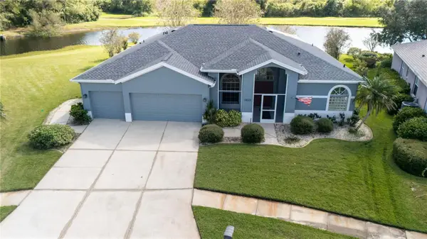 13023 Saint Filagree Drive, RIVERVIEW, FL 33579