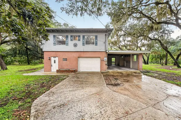 15096 NE 240th Court, SALT SPRINGS, FL 32134