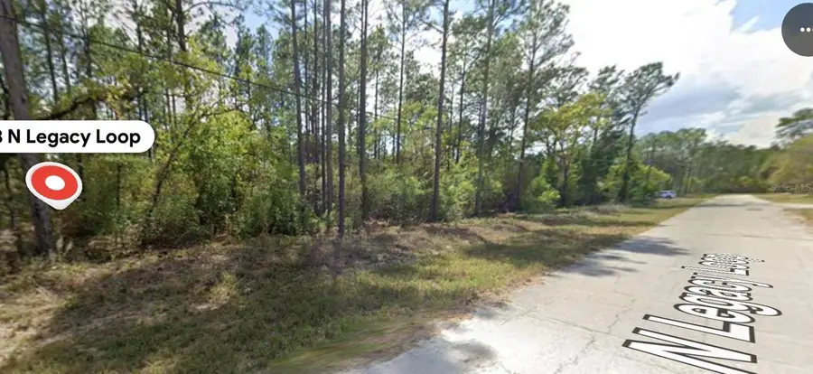8328 N Legacy Loop, Citrus Springs, FL 34433 - #2