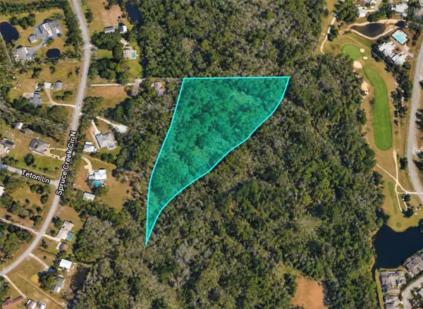 N Spruce Creek Circle, PORT ORANGE, FL 32128