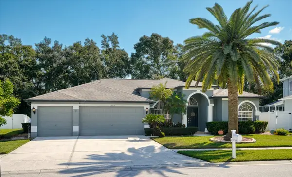 15819 Muirfield Drive, ODESSA, FL 33556