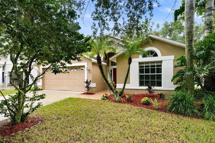 8608 Buttonbush Court, Tampa, FL 33647 - #2