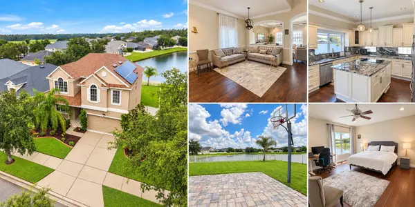 11117 Ancient Futures Drive, TAMPA, FL 33647