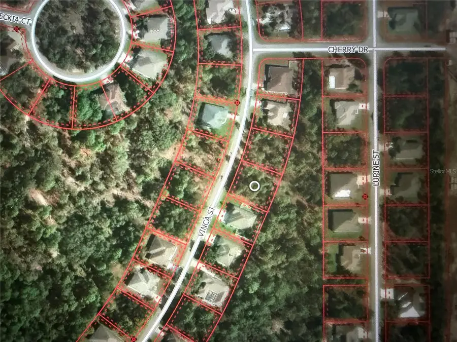 23 Vinca Street, Homosassa, FL 34446 - #3