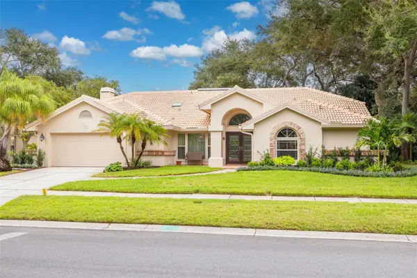 2715 Country Woods Lane, PALM HARBOR, FL 34683