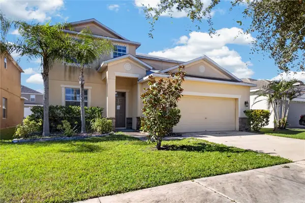 10919 Rainbow Pyrite Drive, WIMAUMA, FL 33598