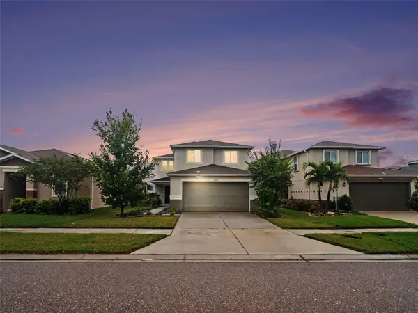 10439 Laguna Plains Drive, RIVERVIEW, FL 33578