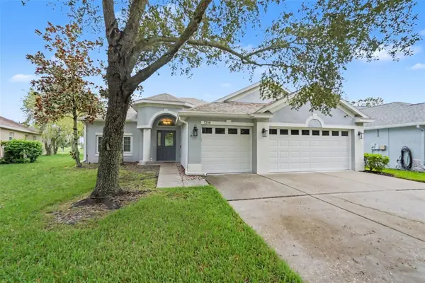 1314 Emerald Hill Way, VALRICO, FL 33594