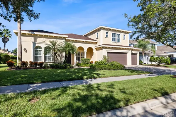 5915 Alana Leigh Place, LITHIA, FL 33547