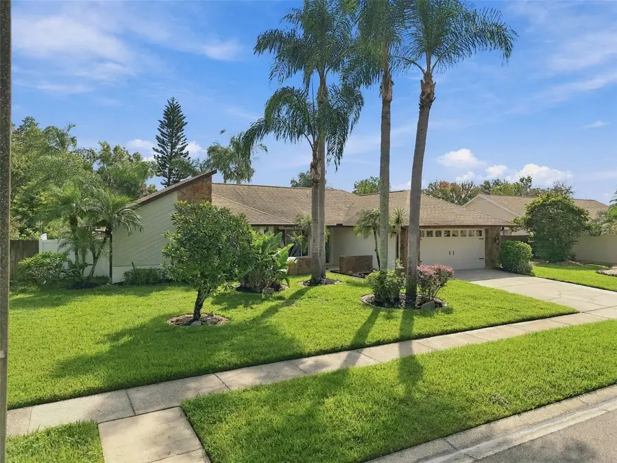 15113 Alexis Drive, Tampa, FL 33624 - #3