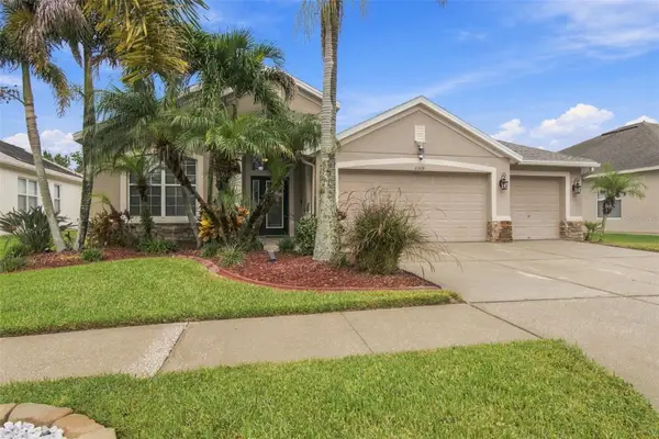 11009 Rockledge View Dr, RIVERVIEW, FL 33579
