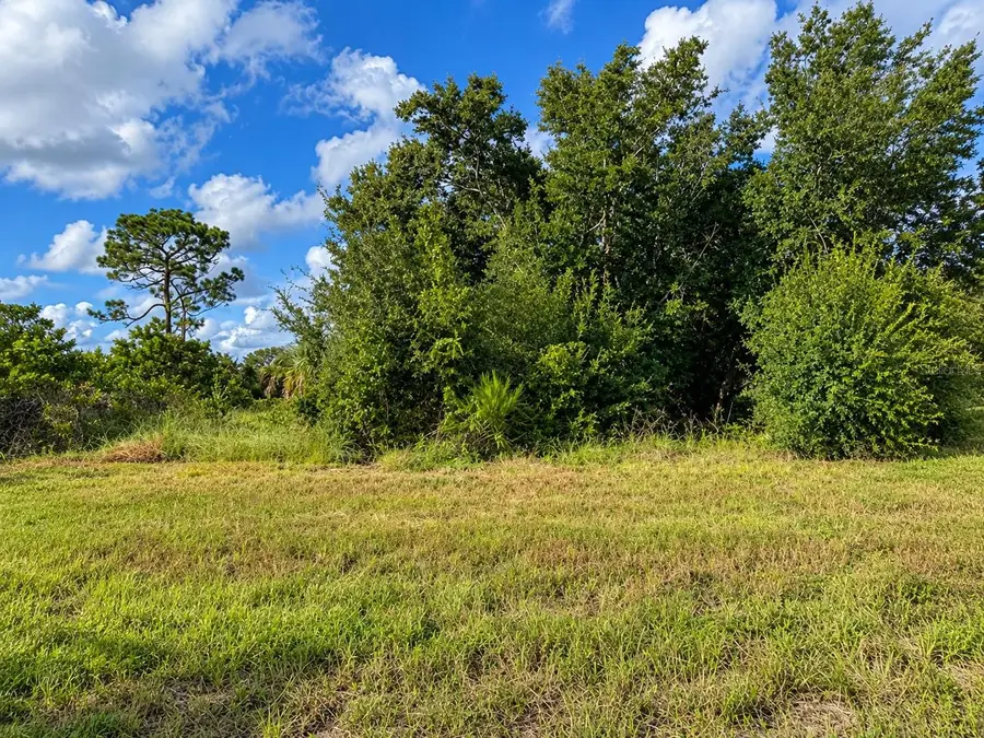 16 Polar Court, Placida, FL 33946 - #2