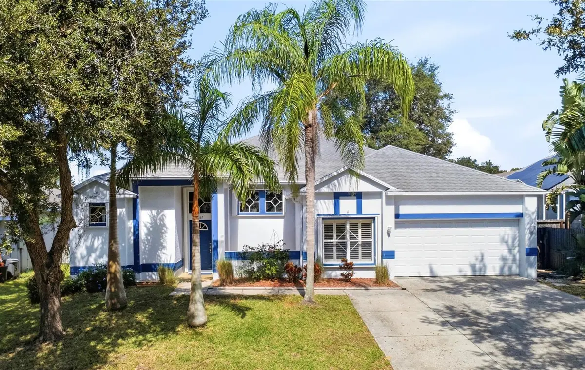 1187 Blackrush Drive, Tarpon Springs, FL 34689 - #1