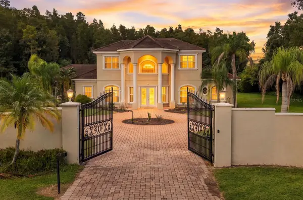 19153 Geraci Road, LUTZ, FL 33558