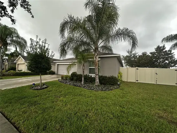 16503 Myrtle Sand Drive, WIMAUMA, FL 33598