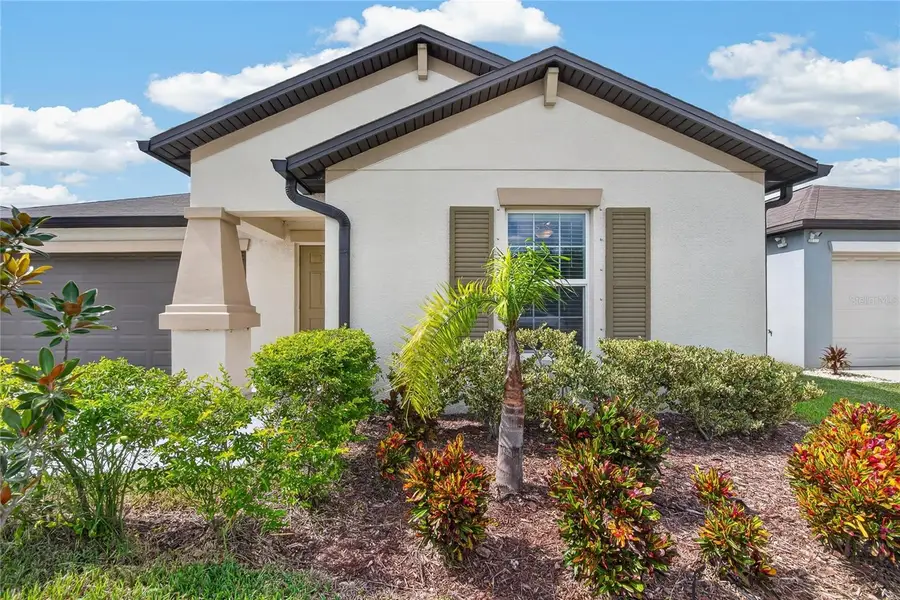 5487 Blue Azure Drive, Wimauma, FL 33598 - #3
