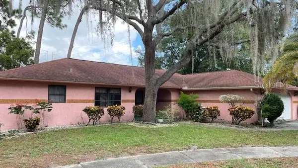 505 Village Oak Drive, TARPON SPRINGS, FL 34689