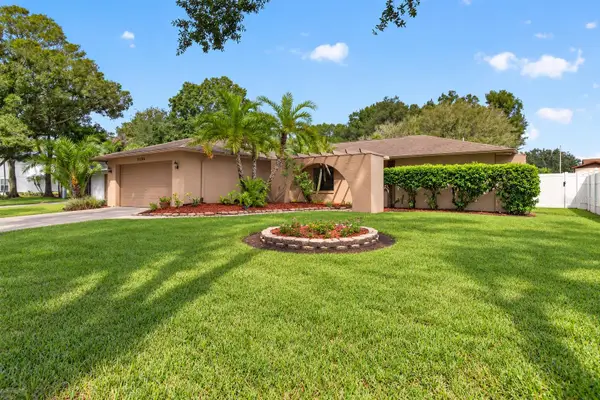 4206 Grainary Avenue, TAMPA, FL 33624