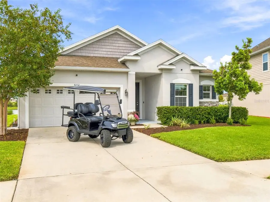 8232 Olive Brook Drive, Wesley Chapel, FL 33545 - #3