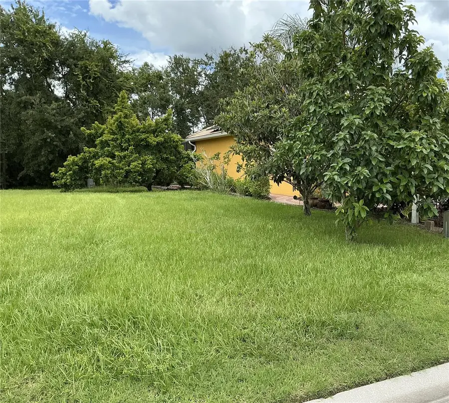 21049 Los Cabos Court, Land O Lakes, FL 34637 - #2