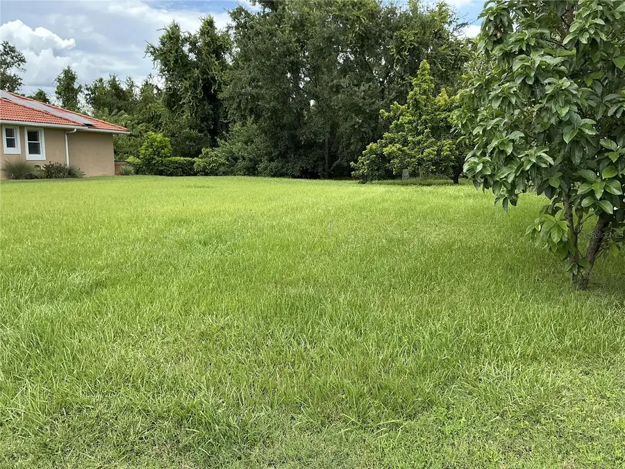21049 Los Cabos Court, Land O Lakes, FL 34637 - #3