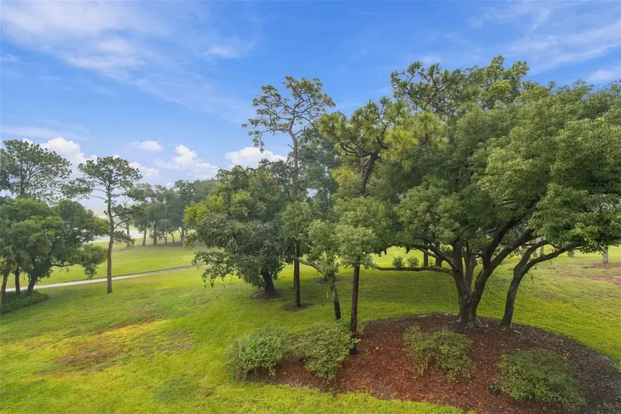 36750 Us Highway 19 #23308, Palm Harbor, FL 34684 - #3
