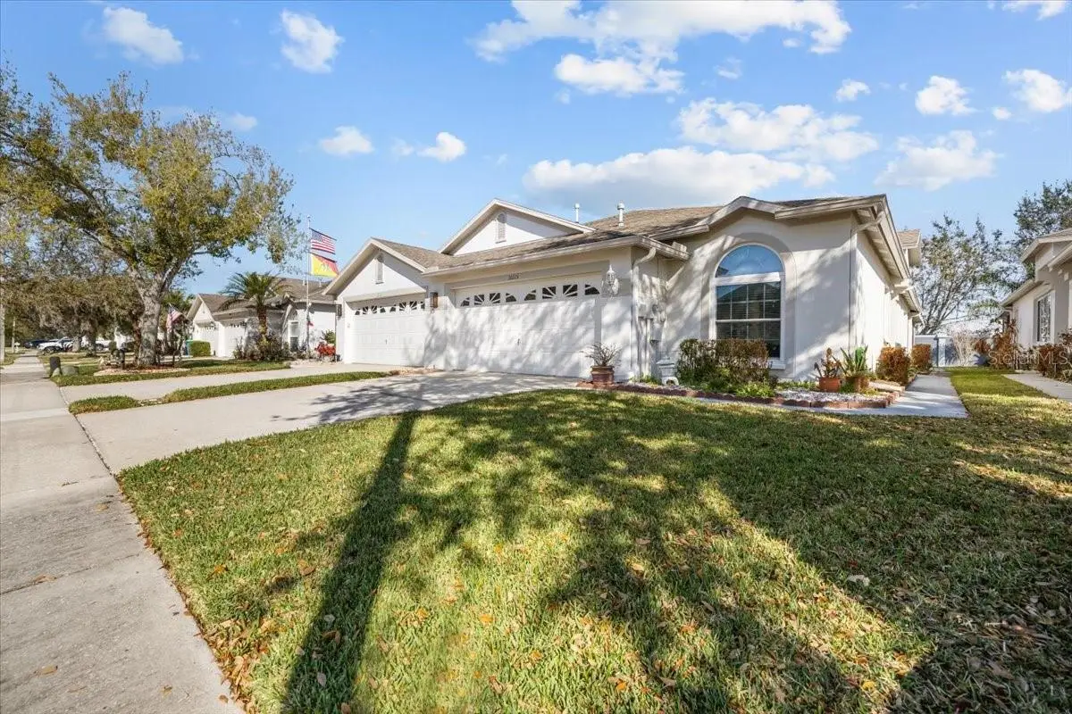 30115 E Emmetts Court, Wesley Chapel, FL 33543 - #1