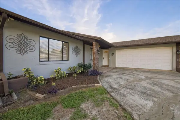 3628 Coppertree Circle, BRANDON, FL 33511