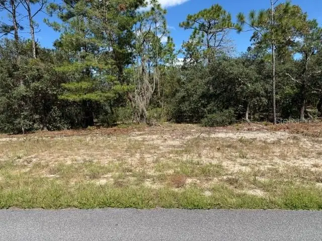 3039 W Naegelia Place, Citrus Springs, FL 34433 - #1