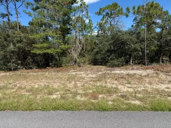 3039 W Naegelia Place, CITRUS SPRINGS, FL 34433