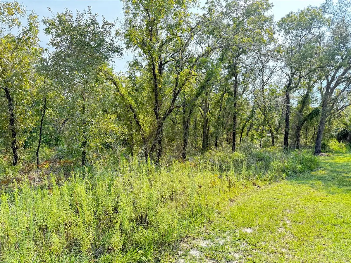 11096 Marsh Wren Avenue, Weeki Wachee, FL 34614 - #1
